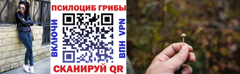 Галлюциногенные грибы прущие грибы  закладка  Бабушкин 